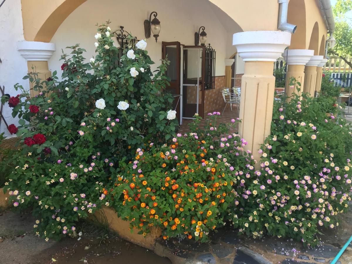 Finca La Rosalia Setenil De Las Bodegas Dış mekan fotoğraf