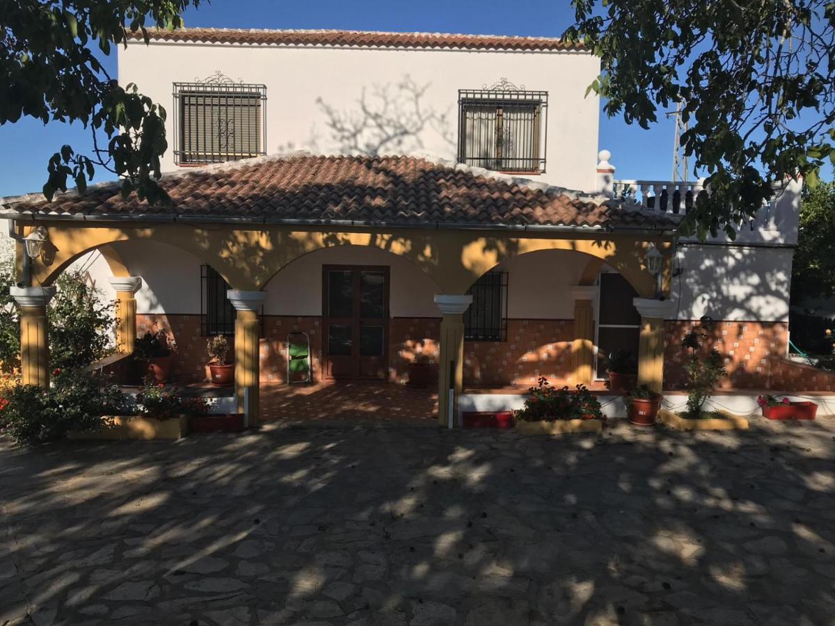 Finca La Rosalia Setenil De Las Bodegas Dış mekan fotoğraf